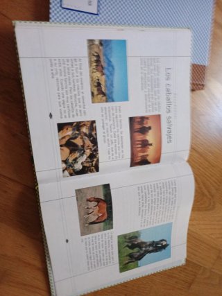 El dragón Canelón. Lecturas 4º E.P. y  3⁰ E.P