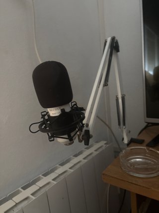Micrófono NEEWER NW-700 con brazo