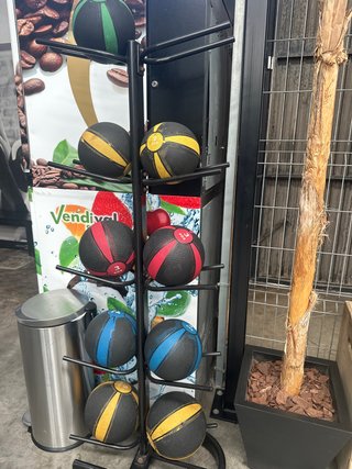 Set de Balones Medicinales y Soporte