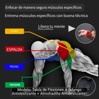 Pack Gimnasio: Boxeo Musical + Tabla Flexiones
