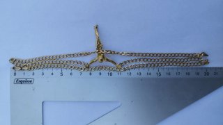 Collar de cristo de Dali oro