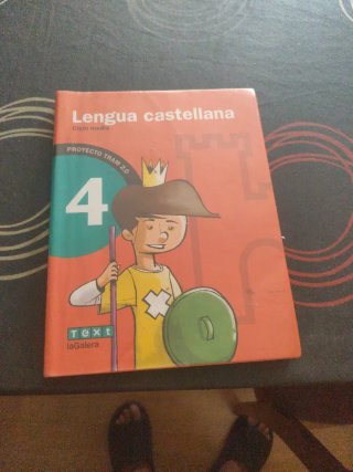 Lengua castellana 4t primaria