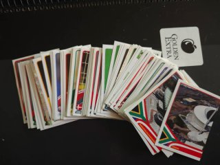 Lote 100 Cromos Sudáfrica 2010