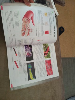Biología y Geología. 3 Secundaria. Revuela