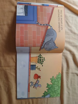 Un ratoncito muy especial
