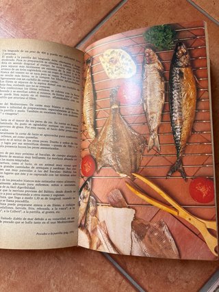 Gran libro de cocina española