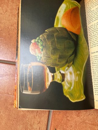 Gran libro de cocina española