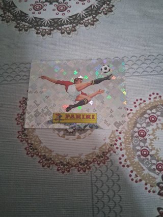 Cromo Panini Mundial 00