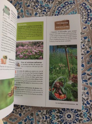 Las mejores ideas para cultivar tu huerto truco...
