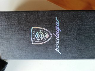 Reloj POEDAGAR Automático Marrón y Dorado