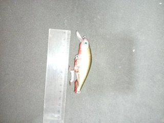 Señuelo de pesca dorado y transparente