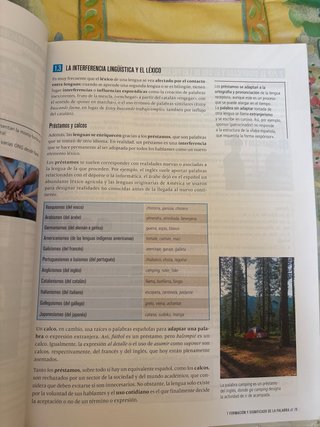 Lengua castellana y literatura 2 Secundaria