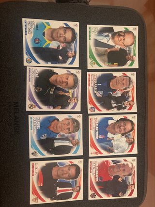 Cromos Entrenadores LFP 12-13