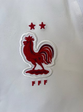 Nike France National Team Training Sweat