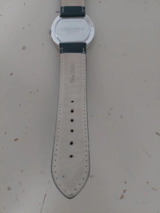 Orologio Coccinelle donna cinturino verde