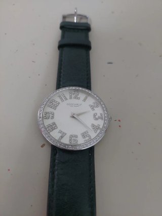 Orologio Coccinelle donna cinturino verde
