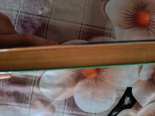 Libro En busca del Arca Perdida