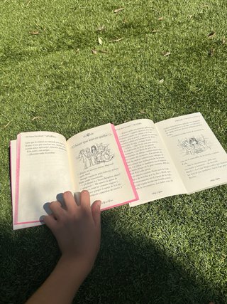Libros Secret kingdom 1 y 2