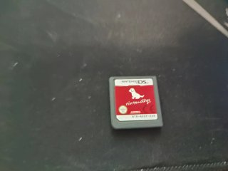 Nintendogs DS - Solo Cartucho