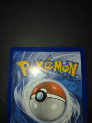 Pokemon Gardevoir EX 245/198