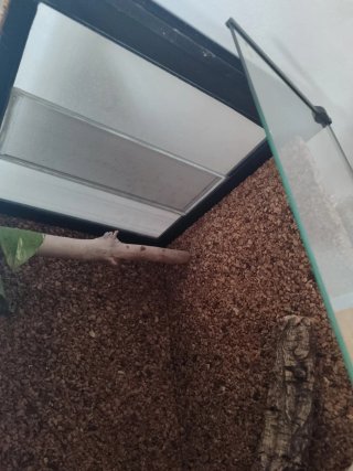 Terrario Exoterra Grande Negro.