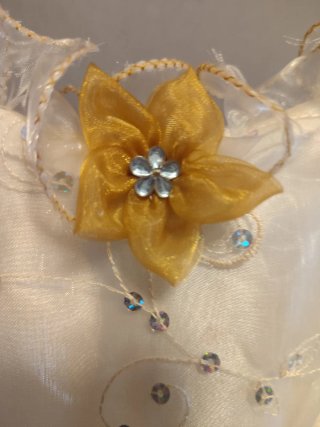 Vestido Princesa Niña Talla 10