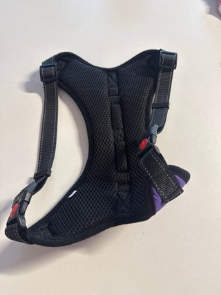 Pettorina per cani viola
