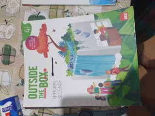 Lote de libros de 4° PRIMARIA Eldelvives usados