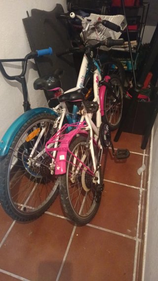 Lote 2 Bicicletas Niña/Mujer