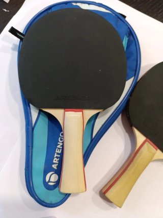 Palas de Tenis de Mesa Artengo