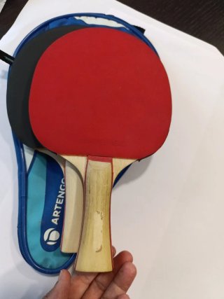Palas de Tenis de Mesa Artengo