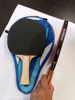 Palas de Tenis de Mesa Artengo
