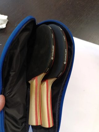 Palas de Tenis de Mesa Artengo
