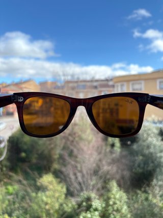Gafas de Sol Ray-Ban Wayfarer Brown/Brown talla 50
