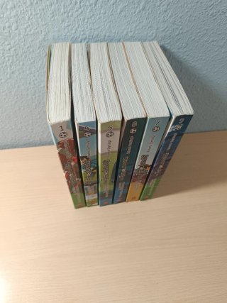 Lote 6 libros Los Futbolísimos | Roberto Santiago