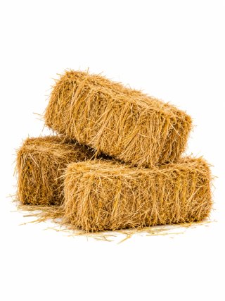 Alpaca de paja de cebada (20-25 kg)