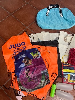 Lote de bolsas y neceseres variados