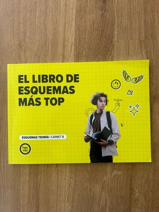 Teoría carnet b hoy voy (libro teoría + esquemas)