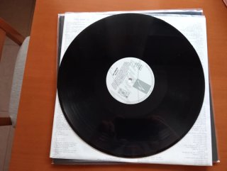 Roy Orbison Mystery Girl LP Vinilo