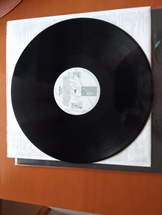 Roy Orbison Mystery Girl LP Vinilo