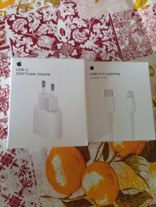 Apple Caricabatterie USB-C 20W + Cavo Lightning