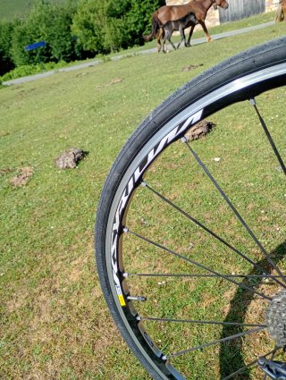 Bici carretera carbono Talla M SCAPIN