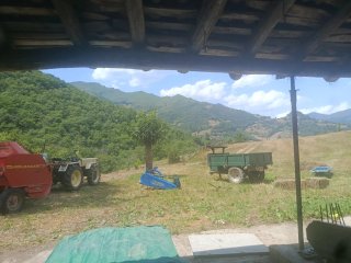 Tractor Pascuali 463e y remolque