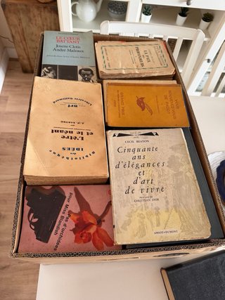 Libros franceses variados . Novela , Literatura