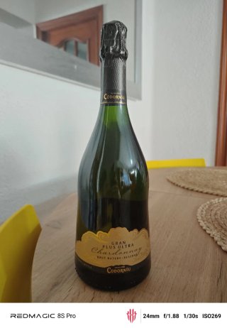 Lote de botellas precintadas para decoración