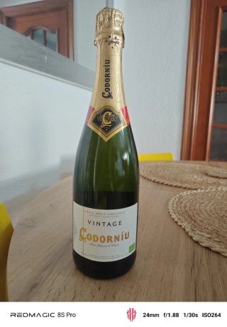 Lote de botellas precintadas para decoración