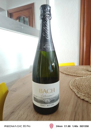 Lote de botellas precintadas para decoración