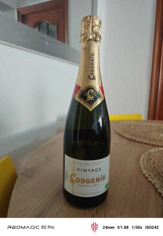 Lote de botellas precintadas para decoración