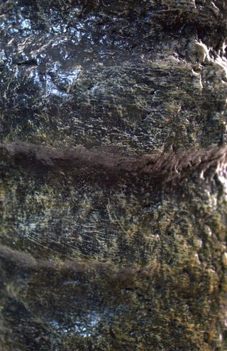 Jarra artesanal HUELLA TELÚRICA
