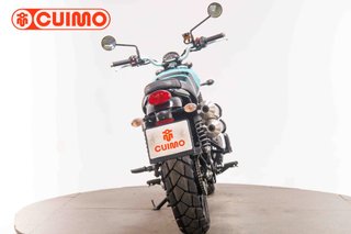TRIUMPH SCRAMBLER 900